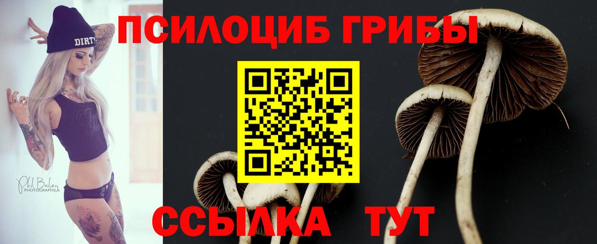 Псилоцибиновые грибы ЛСД  Галлюциногенные грибы прущие грибы  Вход с VPN  Татарск 